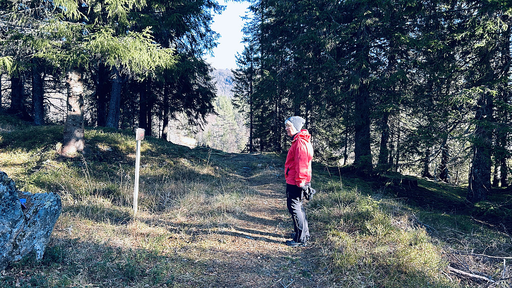 Sperret. Her var det gamle husmannsplasser