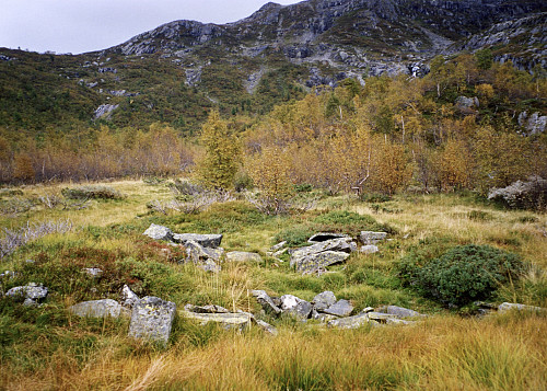 Stølstufter