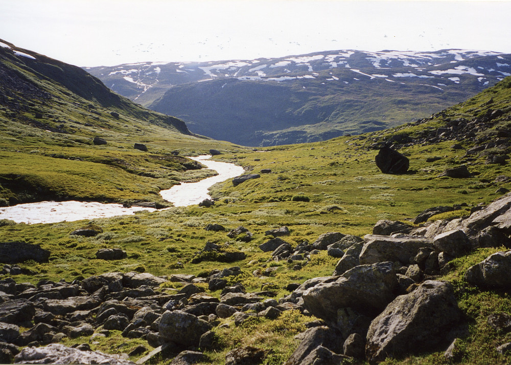 Et flatere parti i Gangdalen