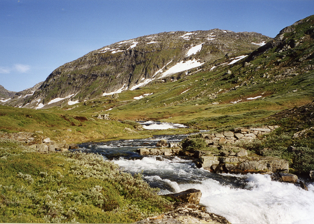Rester etter en gammel (1895) demning litt nedenfor Gangdalsvatnet 1011