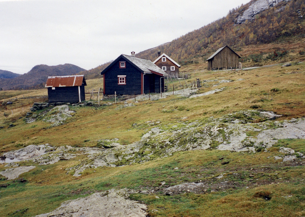 Helgaset. Skålgropsteinene nær inngangsdøren til det brune selet midt i bildet. Det skal finnes ca. 33 skålgroper hogget inn på forskjellige svaberg (fyllitt) på stølsvollene