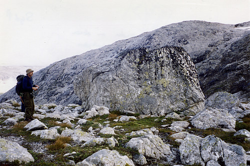 Bogastille ved stor stein