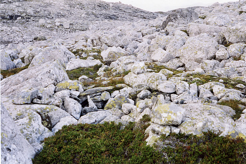 Fangstgraven og litt av anlegget i Nordmannaskaret