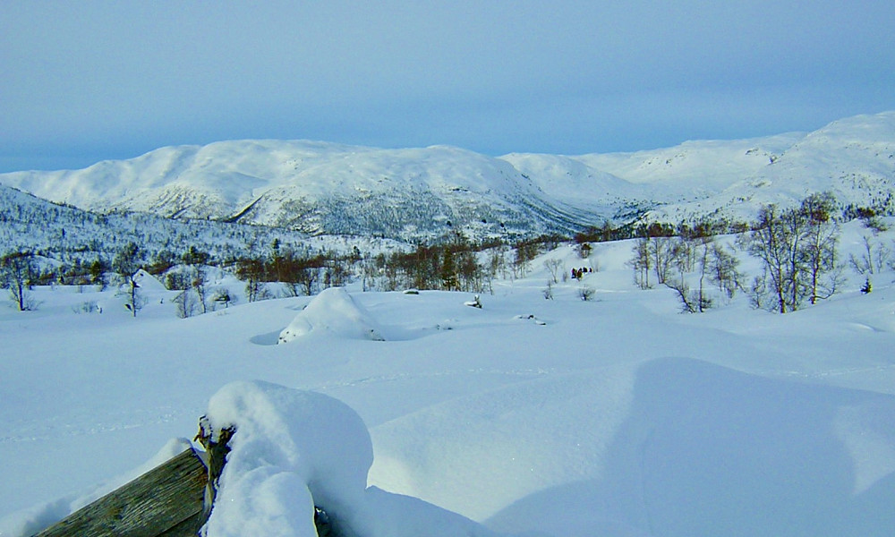 Fra tuftene etter setrene i Mjølbotn mot Rjoanddalen