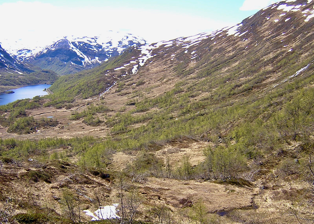 Området nord for Langvasstølen der vi lette etter Lensmannstølen. Langavatnet vest og Mjølfjellet i bakgrunnen