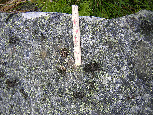 Skålgropstein