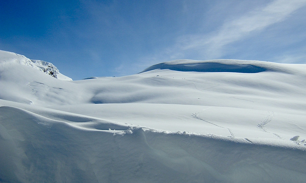 Mot Skorafjellet fra Tryglabotn. Toppen ligger lenger sør og er ikke synlig.
