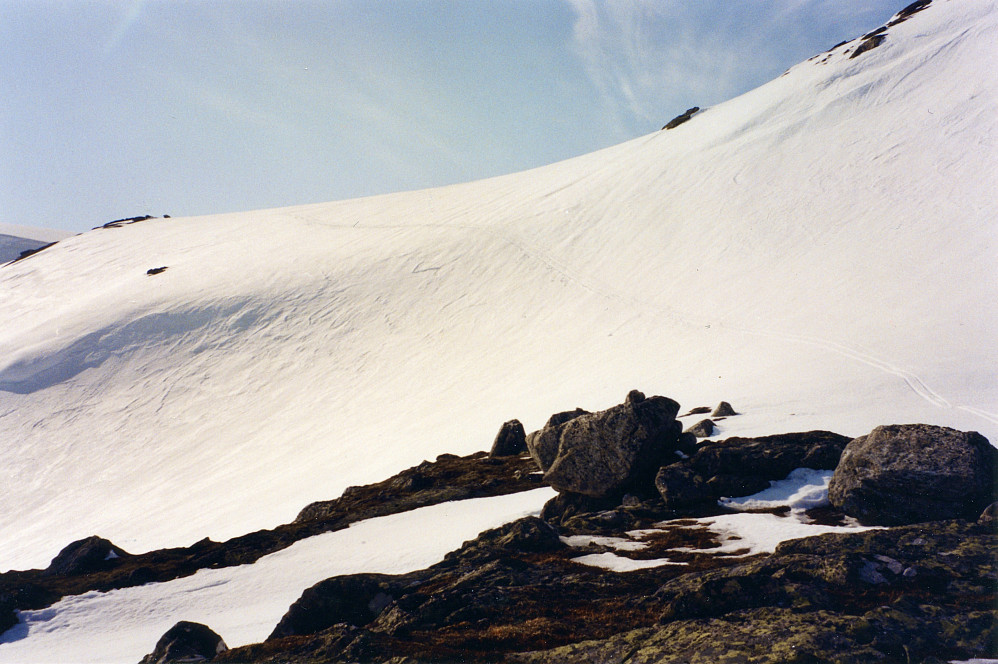 Bratt skråning vest for Gommahaug ned mot Kvannjola