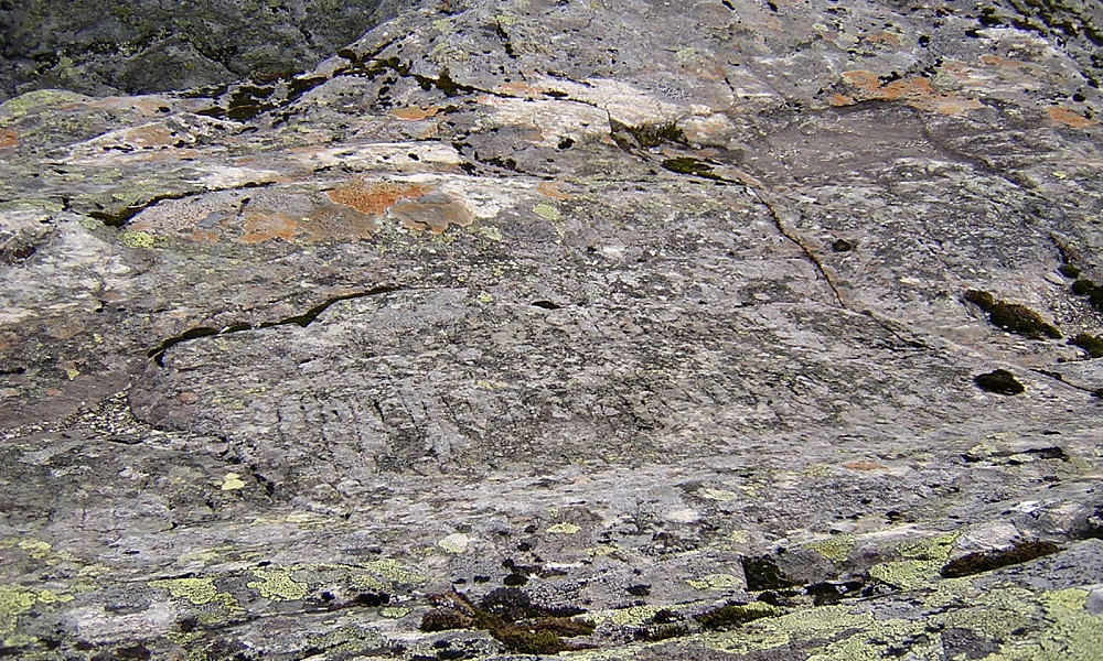 Mulige runetegn på en stein litt vest for Dalen