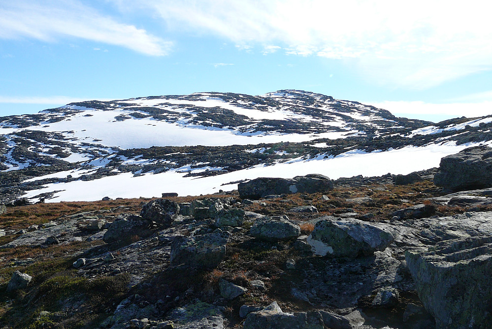Fine, lettgåtte snøflater mot Mjølfjellet 1470 som sees i bakgrunnen