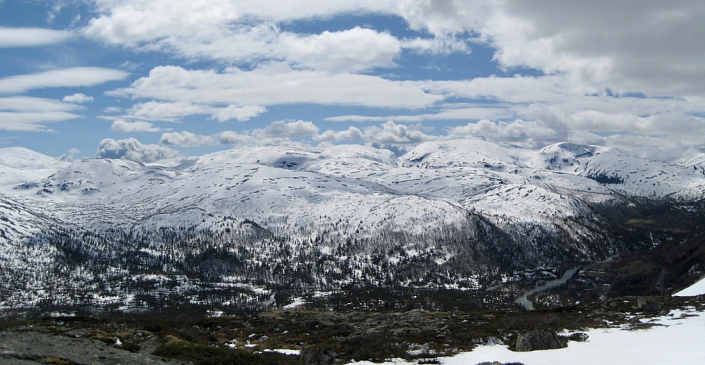 Østre del av Raundalsryggen. Fra venstre Skorafjell, Mjølfjell Vest, Vesetfjellet, Fessanuten, Nordbotnuten, Olsskavlen og Skipadalsnuten