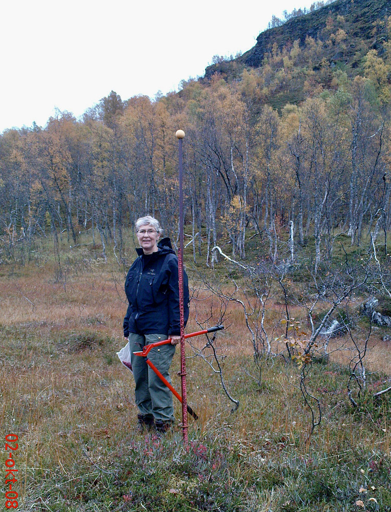 Grensemerke på myrområde sør for Kleivelvi. Sannsynligvis på grensen mellom Voss og Ulvik kommune