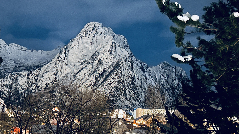 Fløya 590 moh sett fra Langåsen