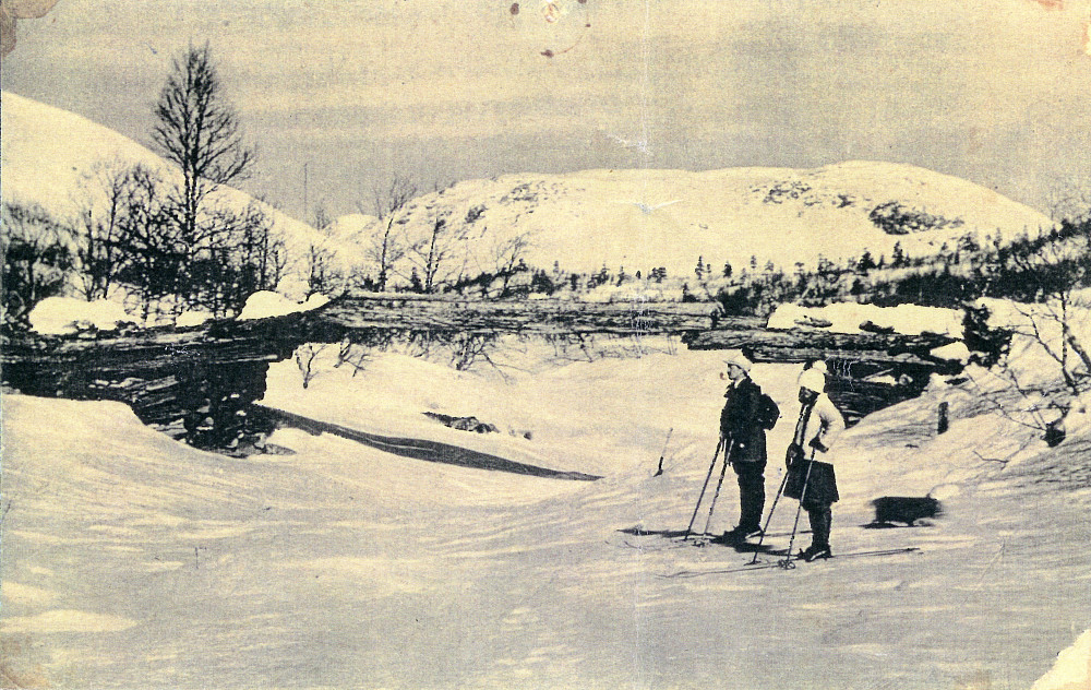 Postkort fra 1930-årene som viser den gamle broen over Rjoåni. Foto mot Rjoanddalen og Grodjuvenuten 1240
