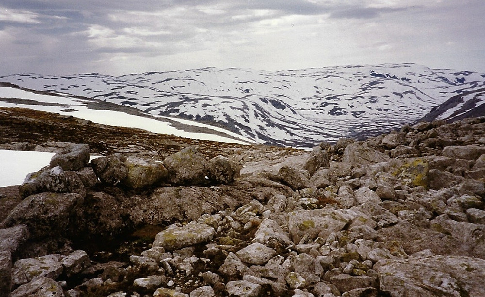 Bogastellet i Buføreskaret 28. juni 1997. Foto mot NV Helge S. Titland
