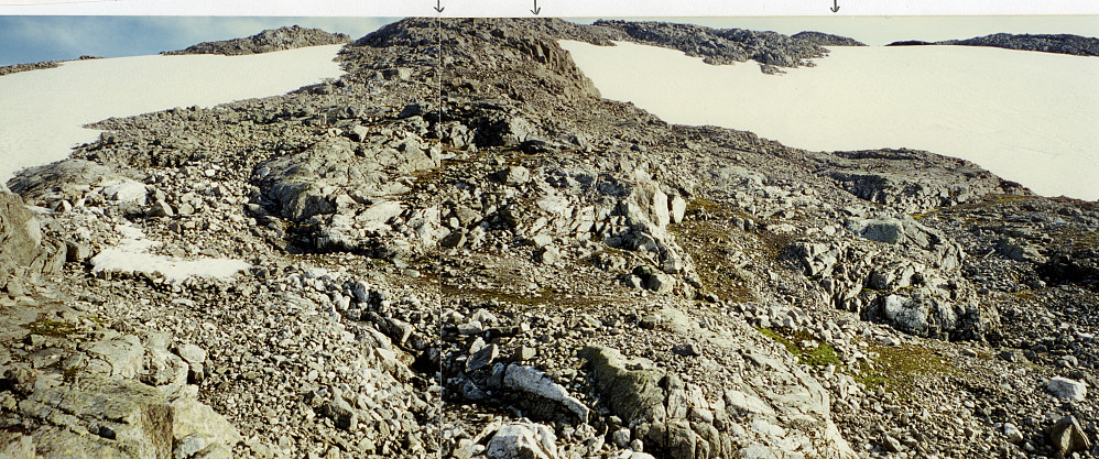 Oversikt over området hvor det ligger tre fangstgraver. Pilene peker mot disse som ikke er så lett å se i steinuren