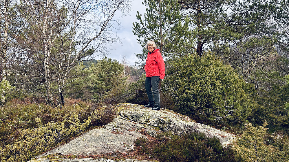 Astrid på toppen av Penesskjenet
