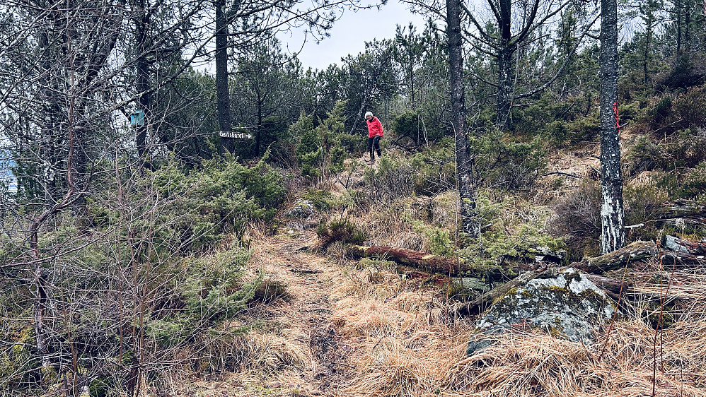 Stistart ved Hylkjenbeset 116B