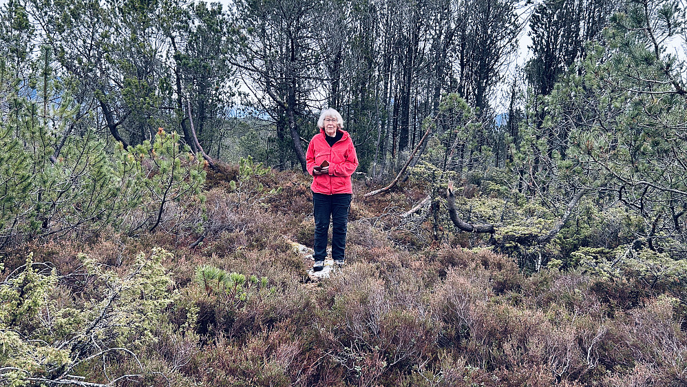 Astrid på toppen av Stuhaugen