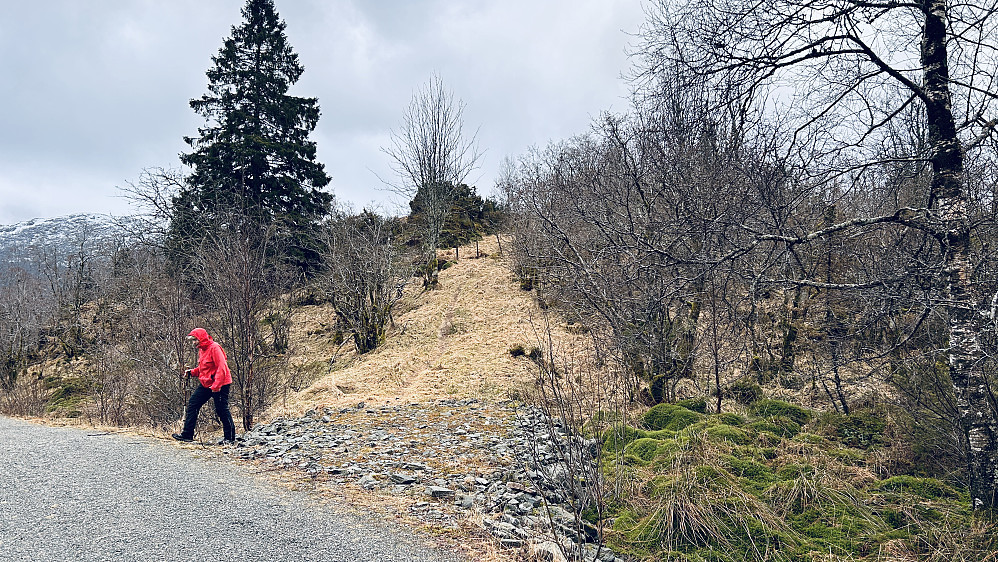 Jordbruksvei som går sørover fra grusveien mot Gaukavarden