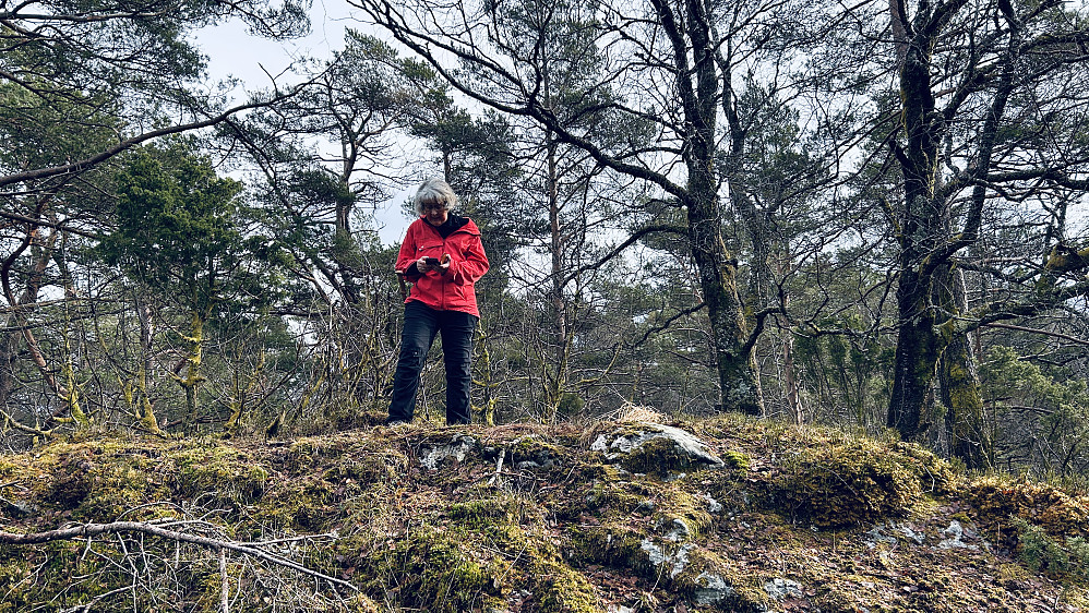 Astrid på Hovda. Foto fra sør.