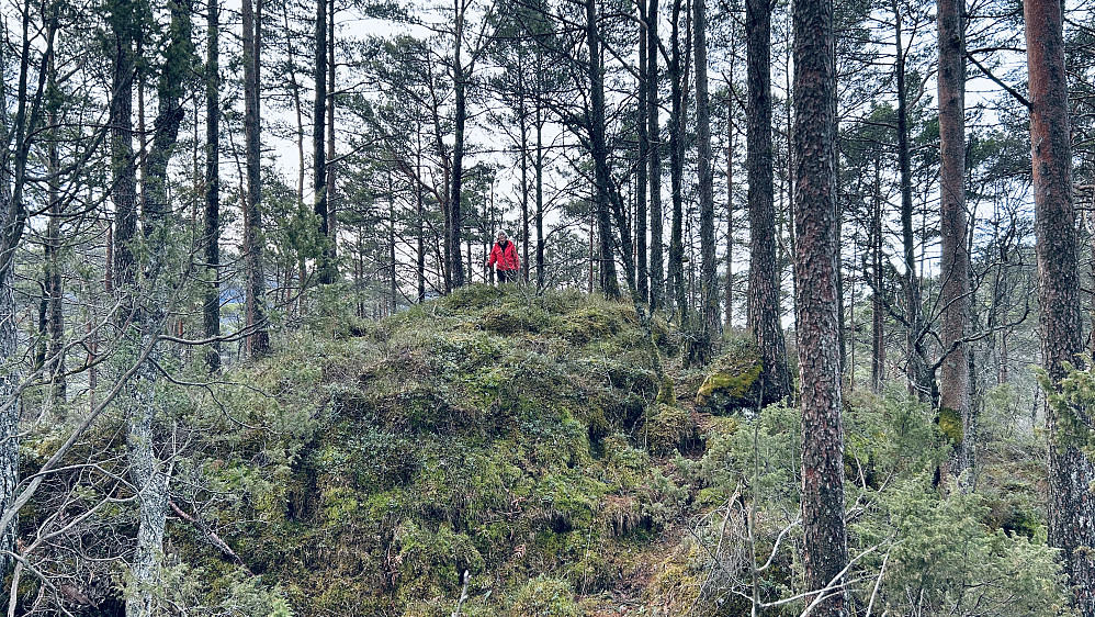 Gjenvisitt på Bjørnåsen
