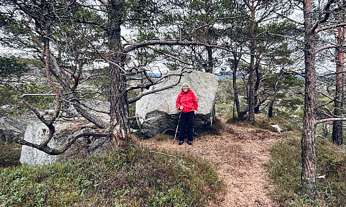 Artige steiner SØ på toppområdet
