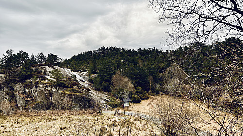 Skogstoppen Stølshaugen 82 moh sett fra Austrevågen