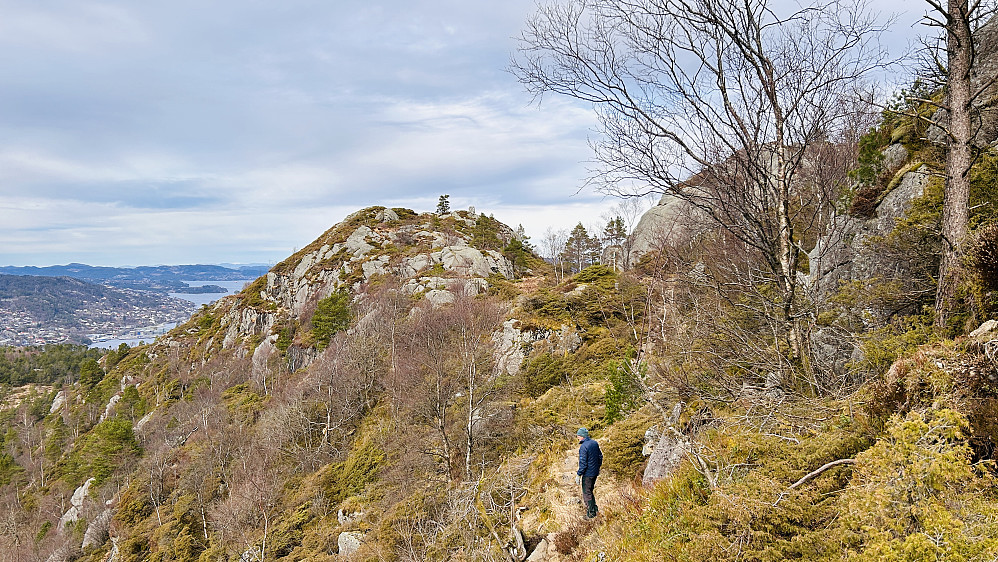 Litt nærmere innpå Ørnafjellet Nord. Valkyrien-varden mot øst er synlig.