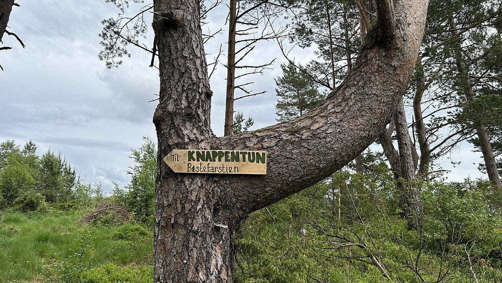 Vi gikk den nylig ryddete stien mellom Grindbygget i Knappenveien og Knappentunet. Flott initiativ!