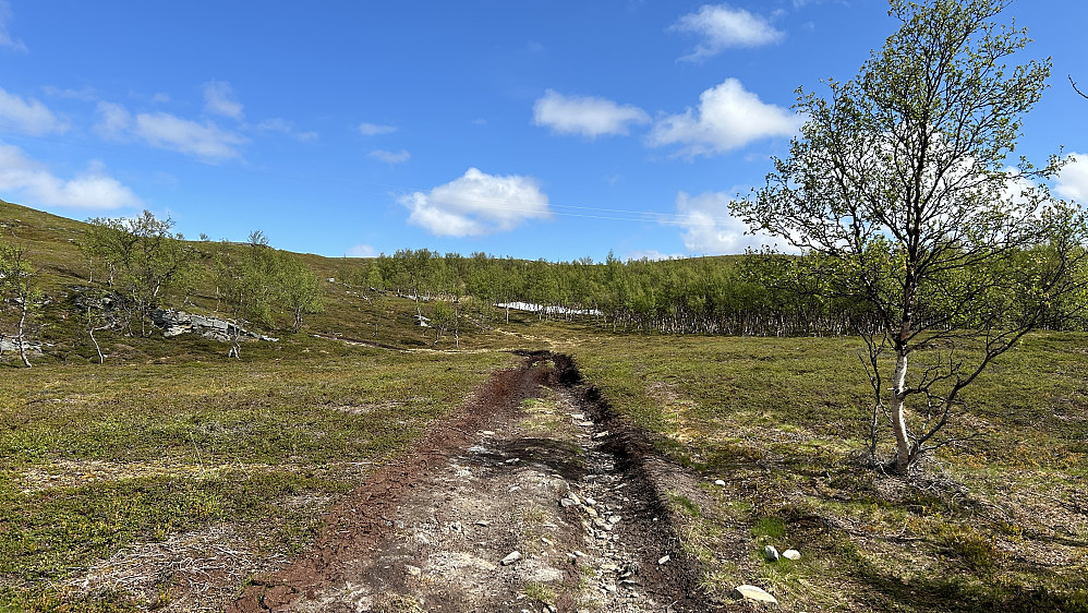 ATV-sporet langs østsiden av Oarjejohka