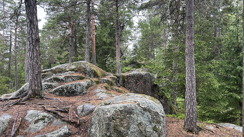 Alternativt topp-punkt noen meter SV for bolten