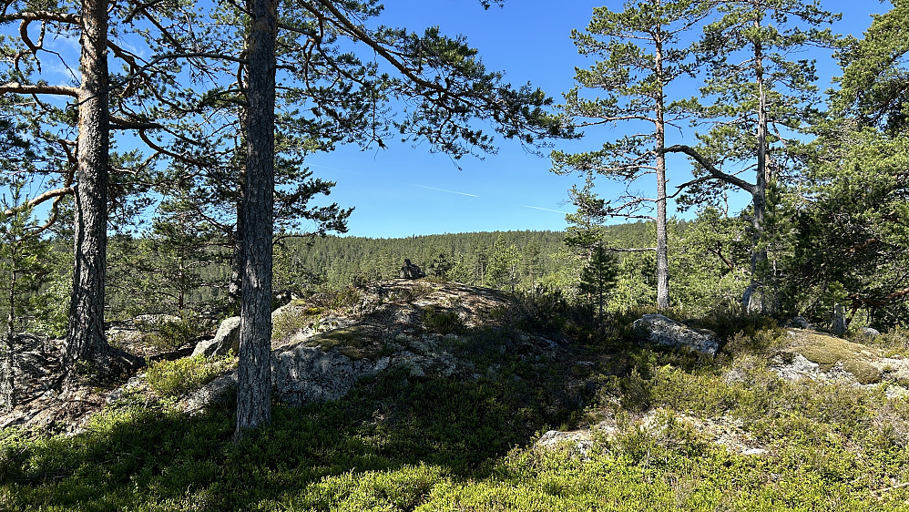 Høyest på Bomåsen