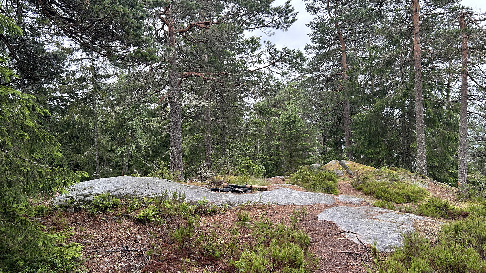 Fint område på toppen av Tonekollen 