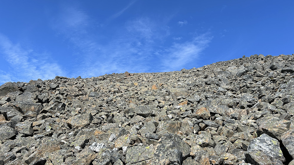 Terrenget oppover mot toppen på ca. 1100 moh.