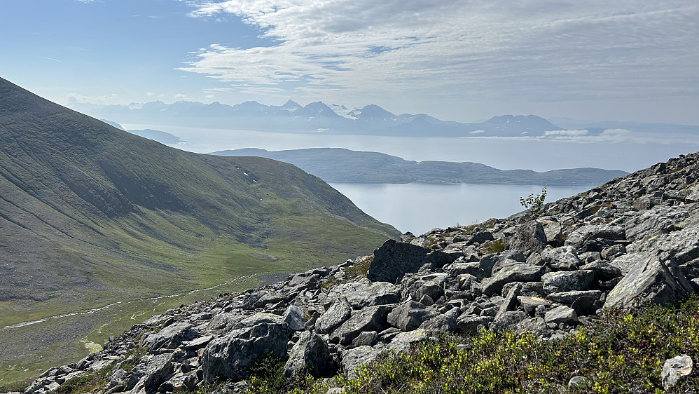På vei opp skråningen fra bandet sør for toppen. Ser mot Bruttodalen og fjorden Kjølmangen mot vest