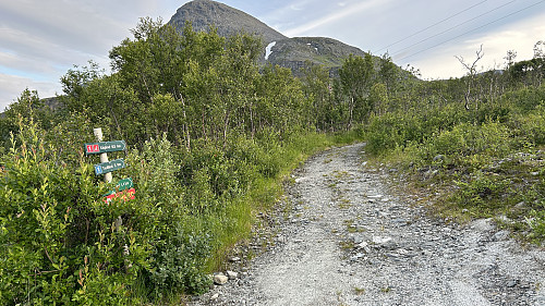 Turstart opp anleggsveien