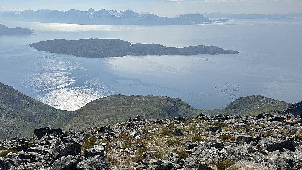 Oppe i siste skråningen SV for toppen. Stig tar seg en liten pause i solsteiken. Utsikt mot Vorterøya og øytoppen Viten 236. Lyngsalpan med Lenangstindan i bakgrunnen