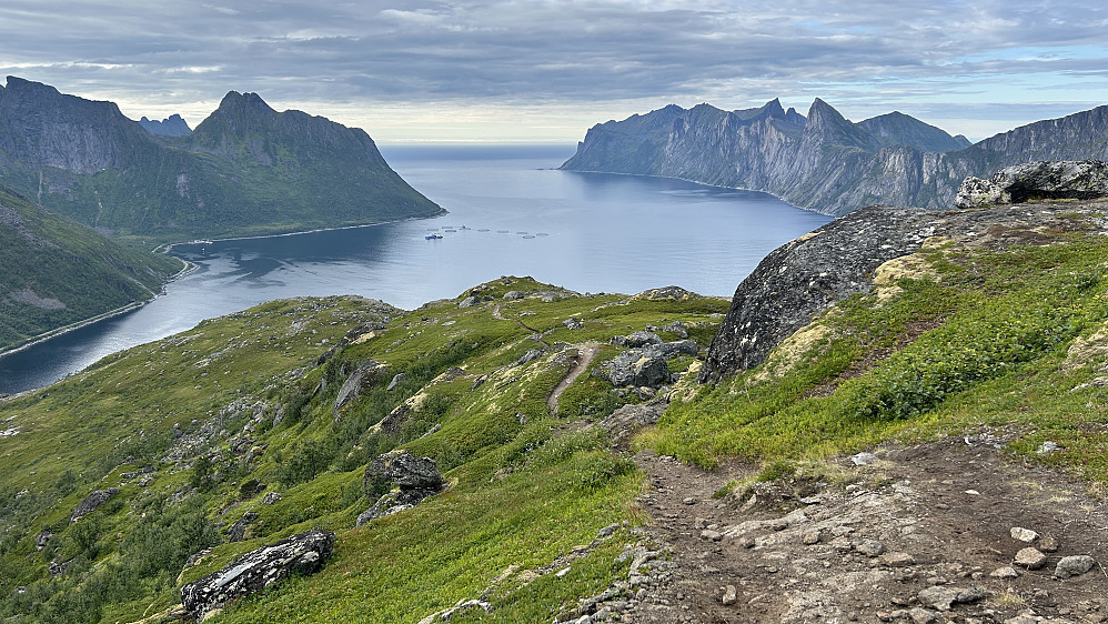 Oppe på høyden øst for Svartholsvatnet. Utsikt nordover Medfjorden med blant annet Kongen, Skultran og Kjølva mot høyre. Mot venstre Bringtinden 639