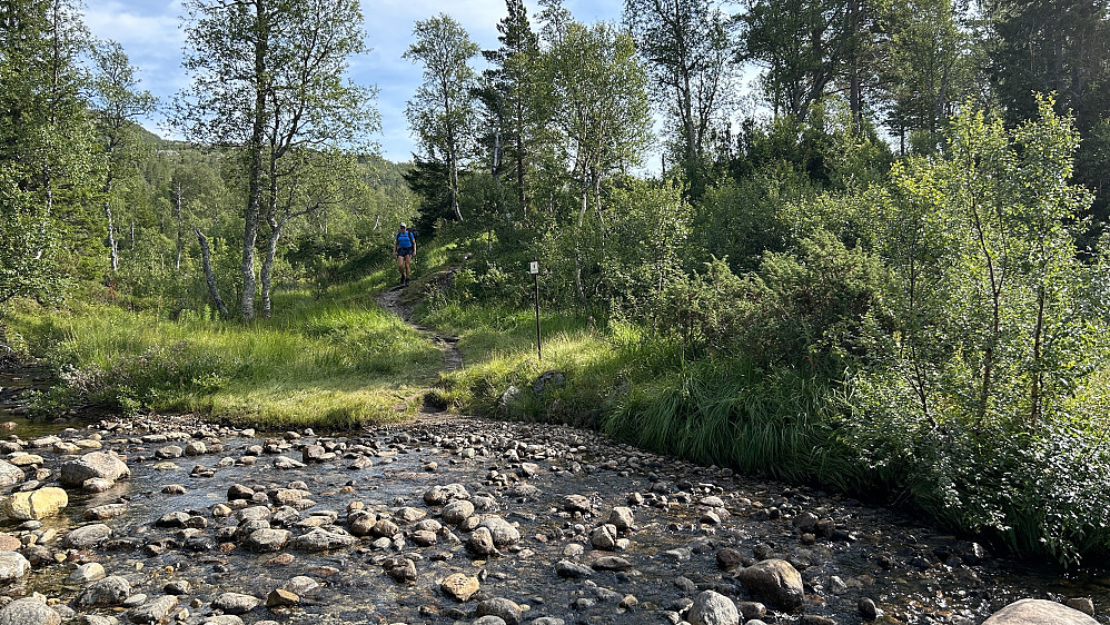 Her begynner Børgefjell nasjonalpark