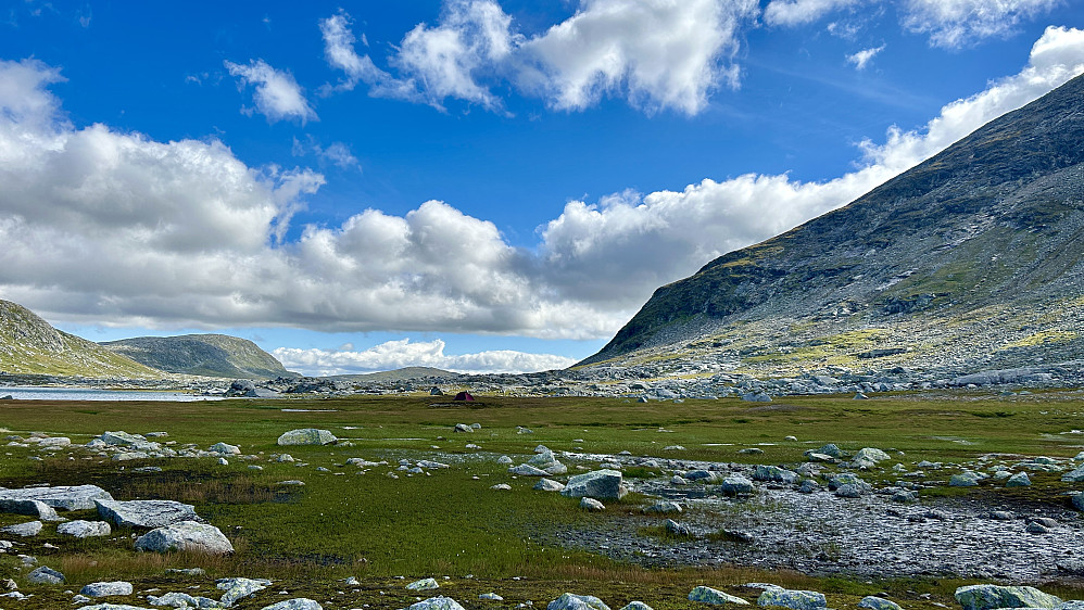 Vakkert og lettgått parti sør for Vestre Måsskardvatnet. Foto mot øst. Måsskardfjellets nordflanke til høyre i bildet