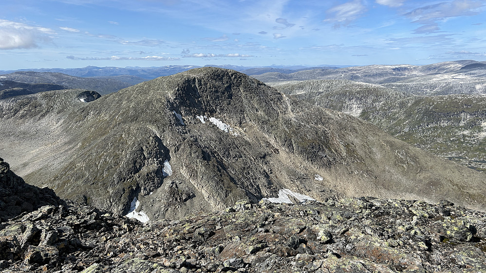 Mot Måsskardfjellet 1536 i NNV