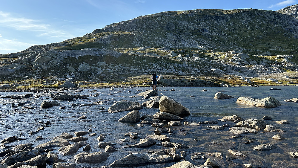 Vadestedet