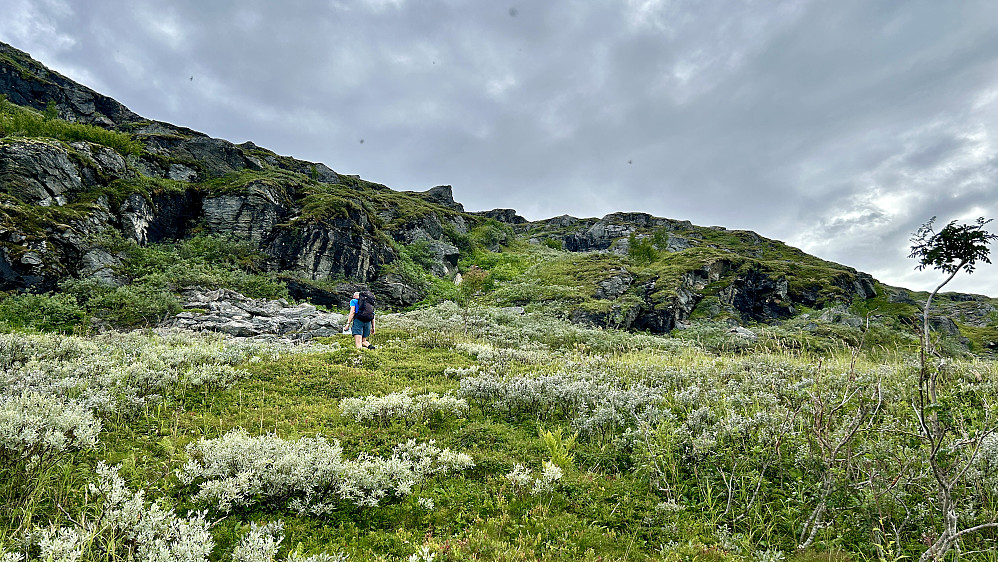 Snart over tregrensen etter ca. 1.5 time på tur