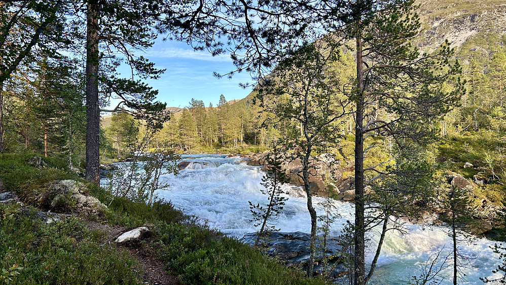 Fint ved fossen i Kleivelvi!