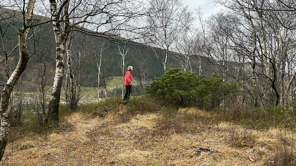 Astrid på høyeste punkt på Litlenuvarden