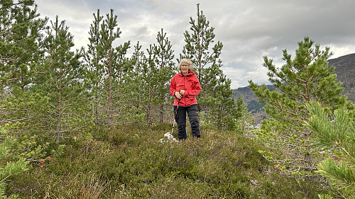 Astrid ved den lille varden på høyeste punkt på Storenuvarden