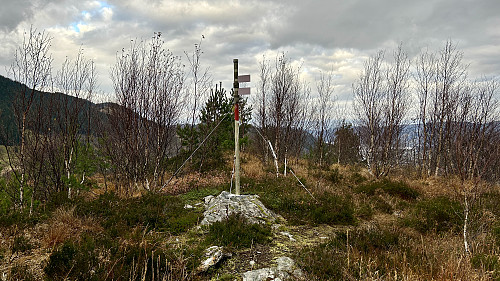 Trig-stangen på Storenuvarden