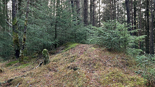 Høyeste punkt på Hellestveitnova markert med en liten jernbolt