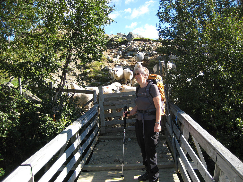 Astrid på bro over elven